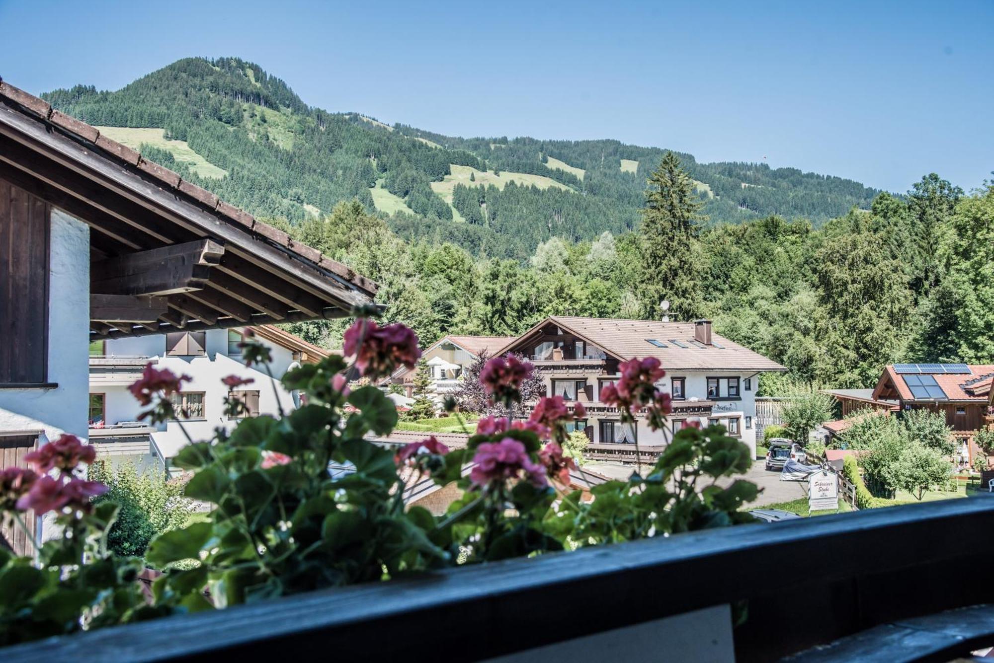 Haus Susanne - Top-Ferienwohnungen - Sommer-Bergbahn Inklusive 오베르마이셀스타인 외부 사진